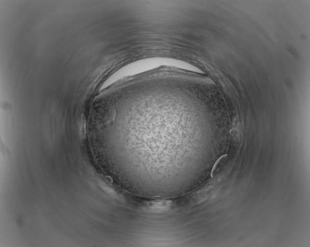 X0000090600474200708071146