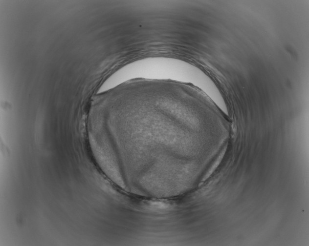 X0000090600475200708071146