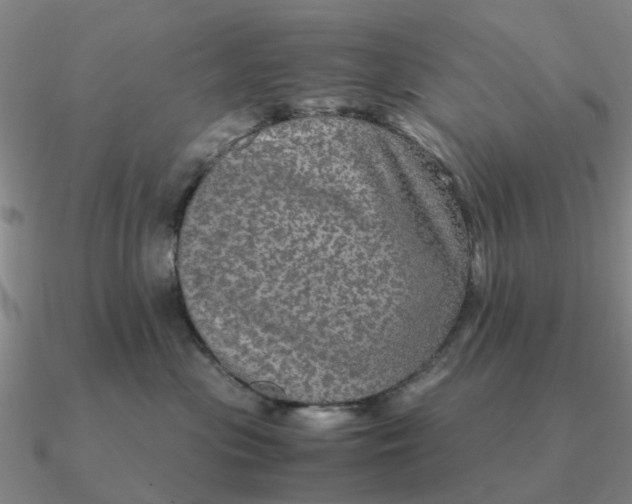 X0000090600477200708071147