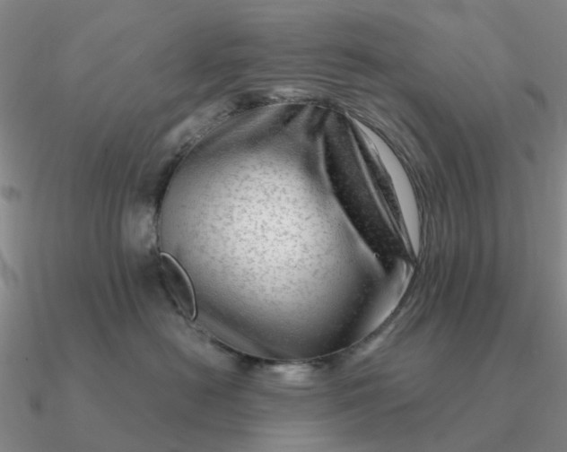 X0000090600478200708071147