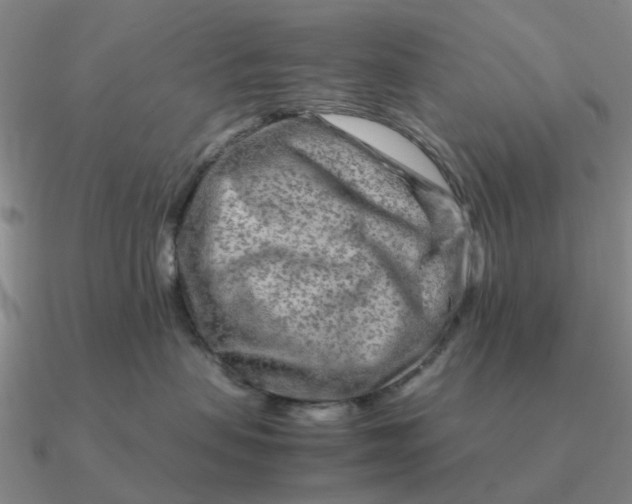 X0000090600479200708071147