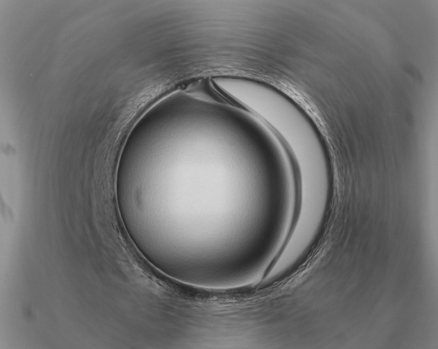 X0000090600481200708071146