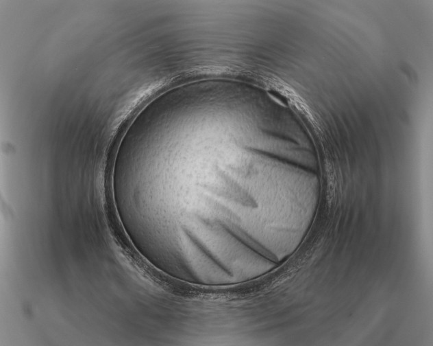 X0000090600482200708071146