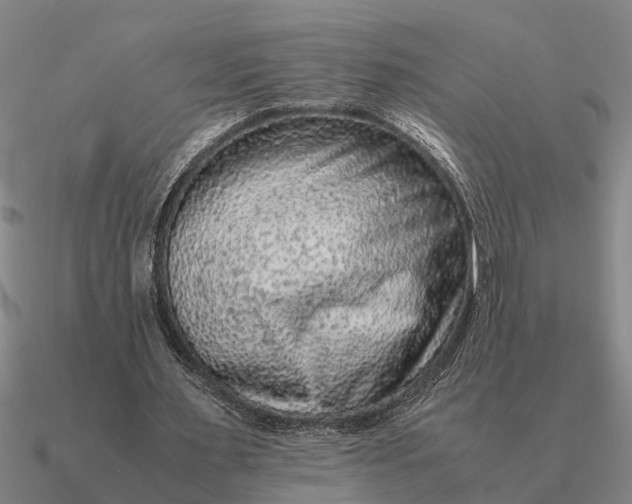 X0000090600483200708071146