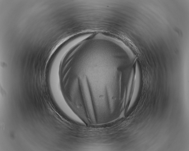 X0000090600484200708071146