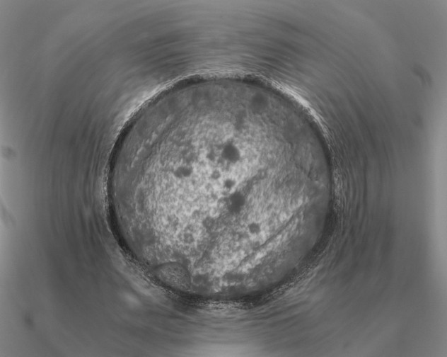 X0000090600487200708071146