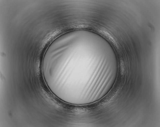 X0000090600490200708071146