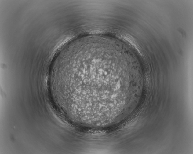 X0000090600491200708071146