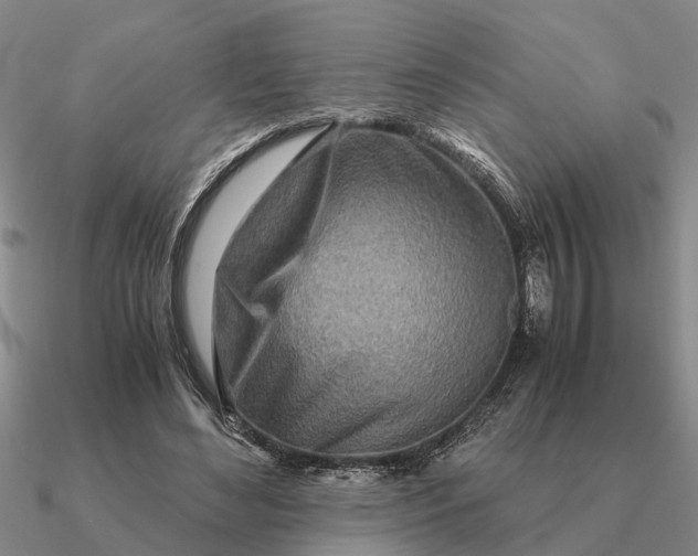 X0000090600492200708071146