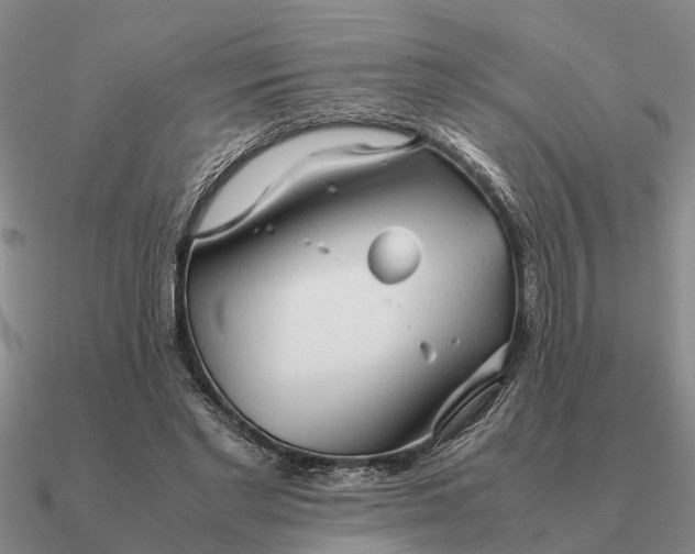 X0000090600493200708071146