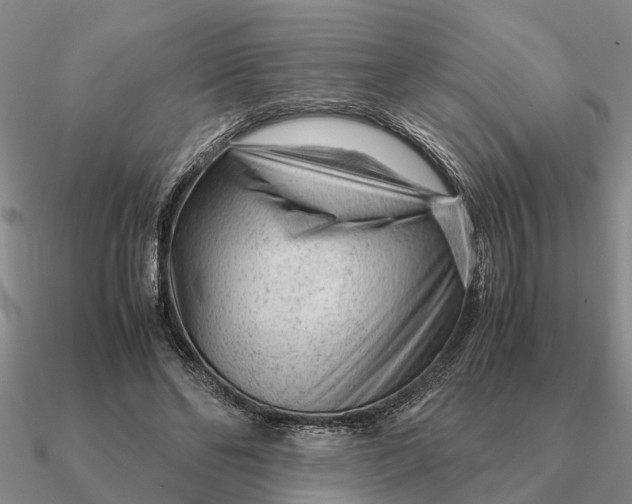 X0000090600494200708071146