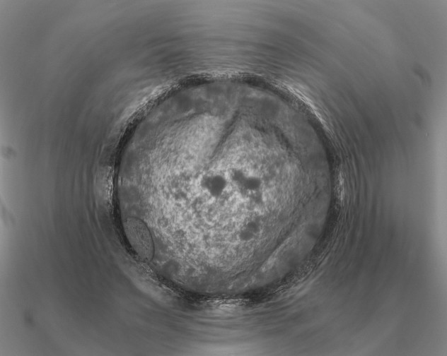 X0000090600495200708071146