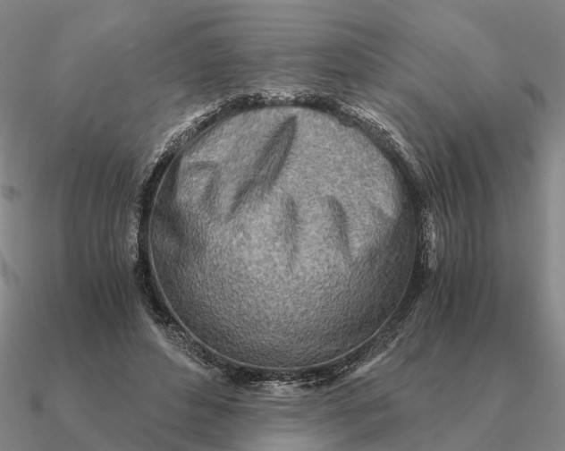 X0000090600496200708071146