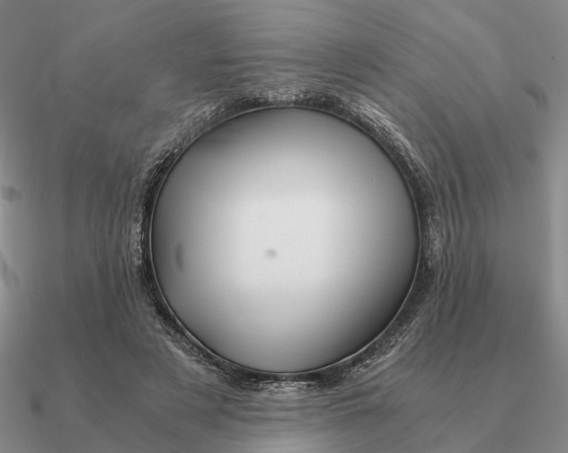 X0000090600497200708071146