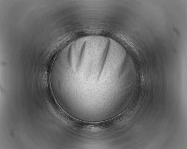 X0000090600498200708071146