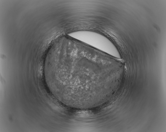 X0000090600499200708071145