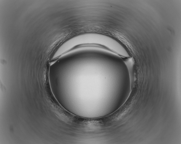 X0000090600501200708071145