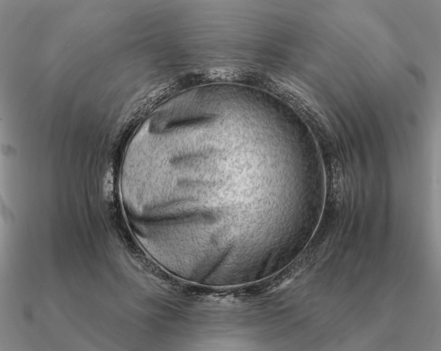 X0000090600502200708071145