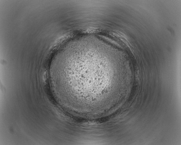 X0000090600503200708071145