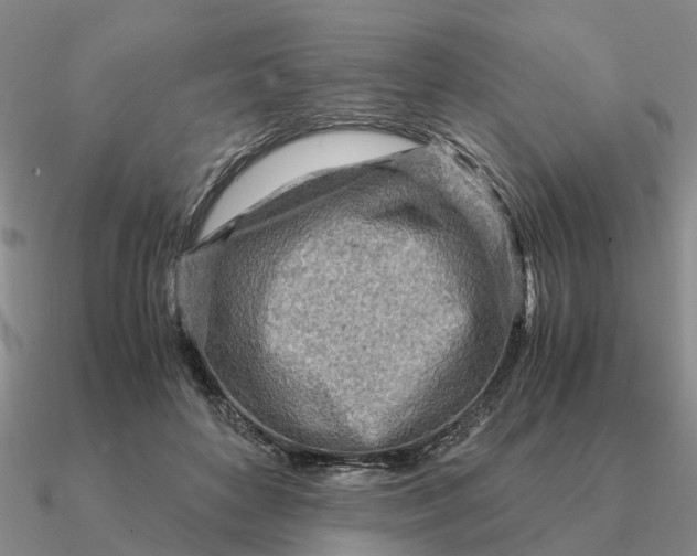 X0000090600504200708071145