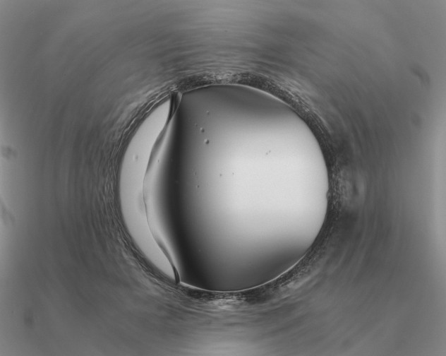 X0000090600505200708071145