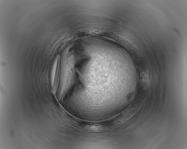 X0000090600506200708071145