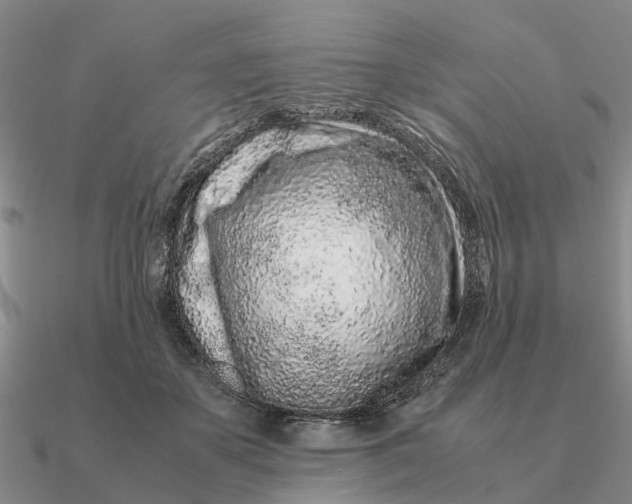 X0000090600507200708071145