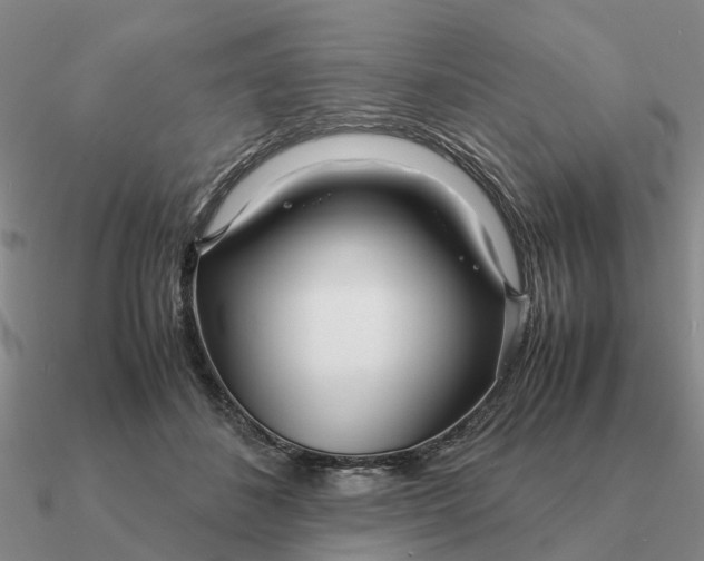 X0000090600508200708071145