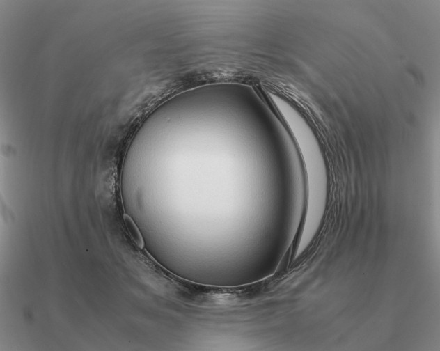 X0000090600509200708071145