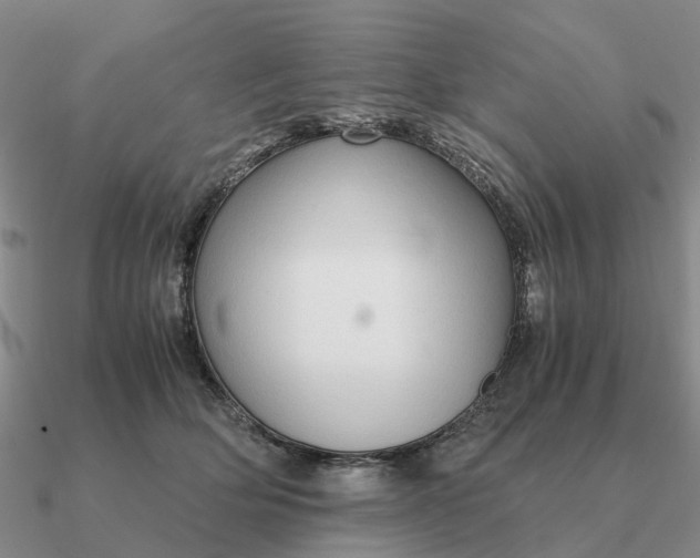 X0000090600514200708071145