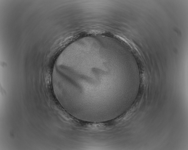 X0000090600517200708071145