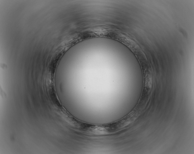 X0000090600518200708071145