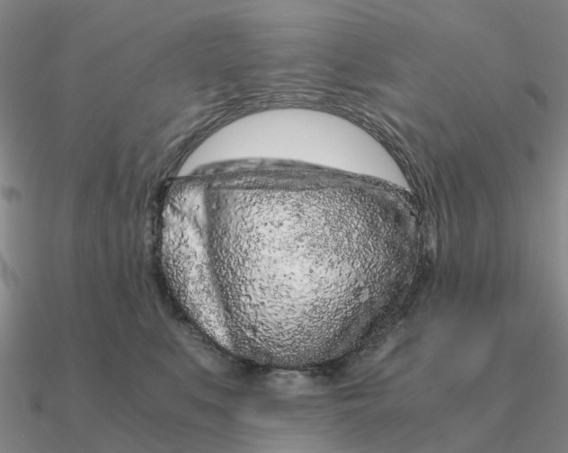 X0000090600519200708071145