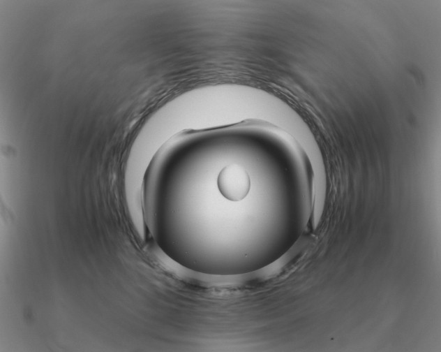 X0000090600520200708071145