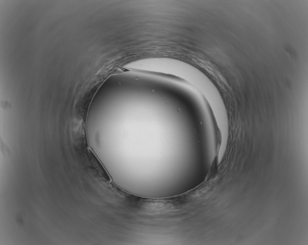 X0000090600521200708071145