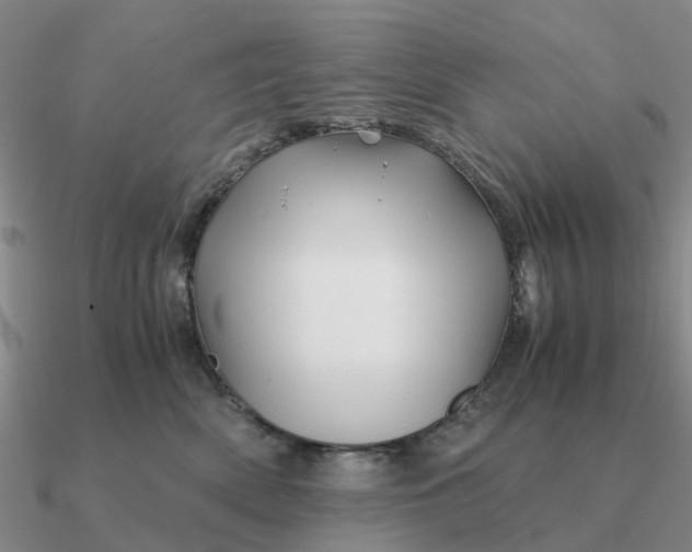 X0000090600522200708071145