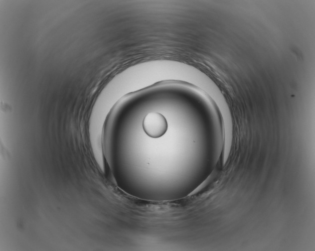 X0000090600524200708071145