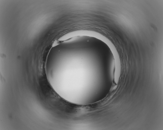 X0000090600525200708071145