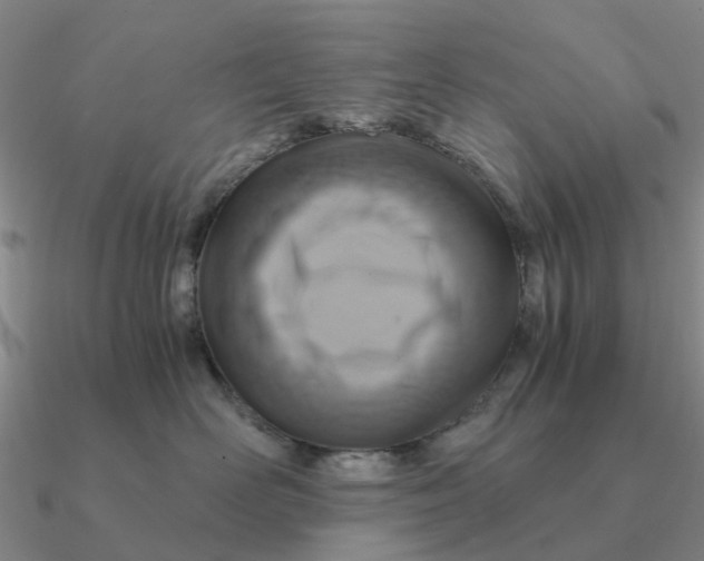 X0000090600526200708071145