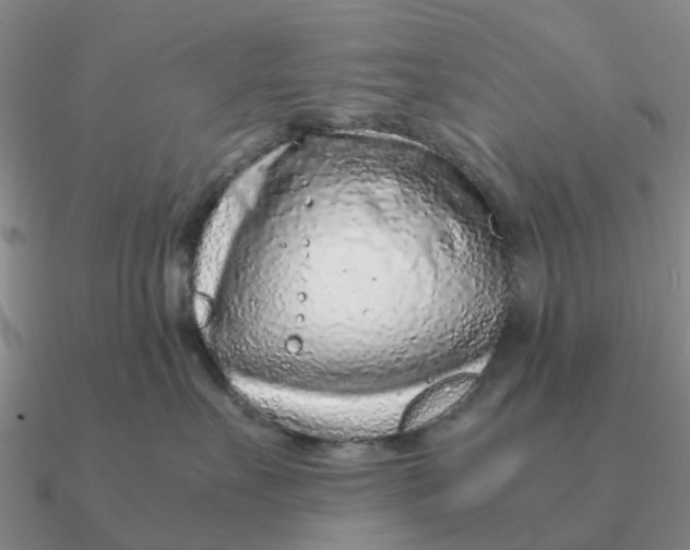 X0000090600527200708071145