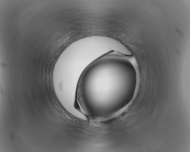 X0000090600528200708071145