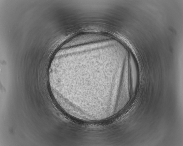 X0000090600529200708071144