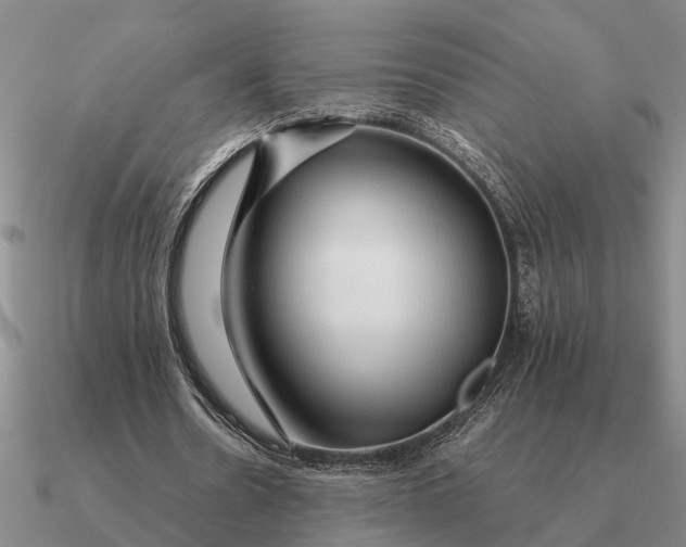 X0000090600530200708071145