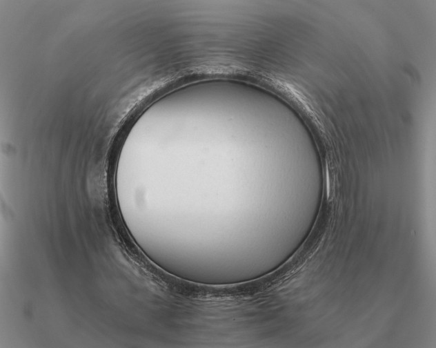 X0000090600531200708071145