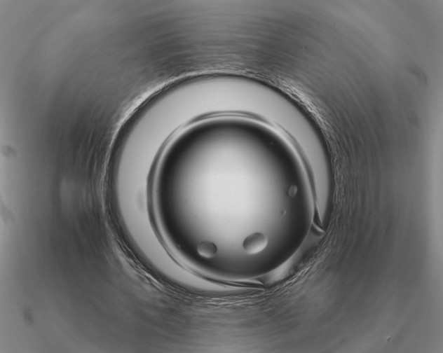 X0000090600532200708071145