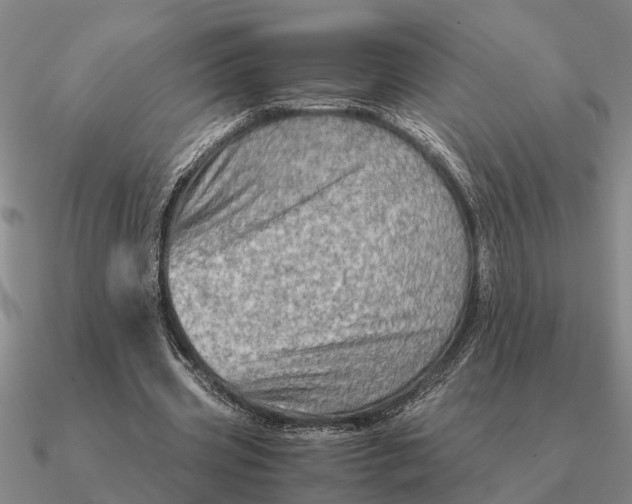 X0000090600533200708071145