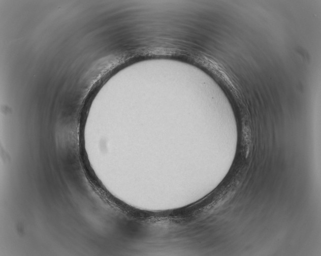 X0000090600534200708071145