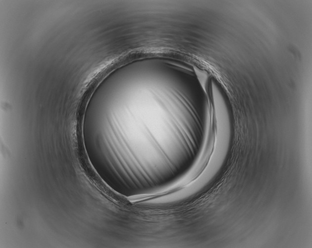 X0000090600535200708071145