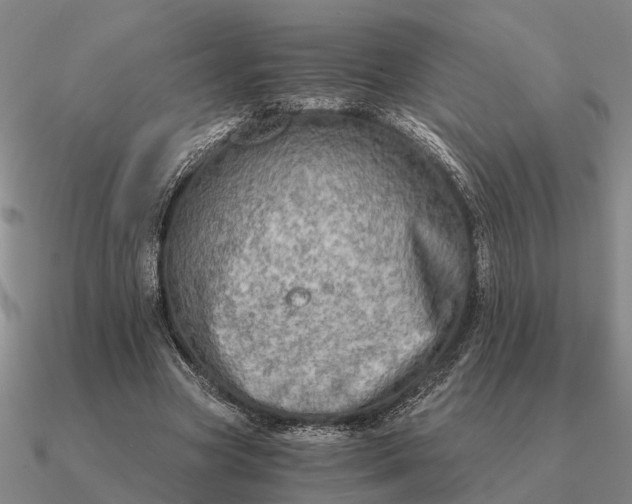 X0000090600537200708071145