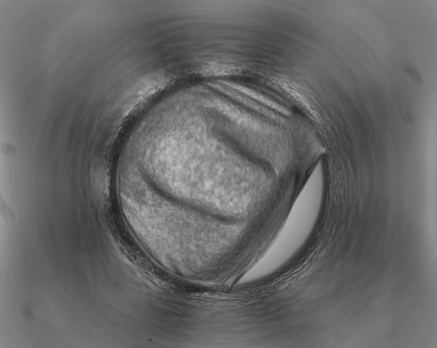 X0000090600539200708071145